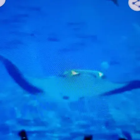 بيت للعطل Chez Severine